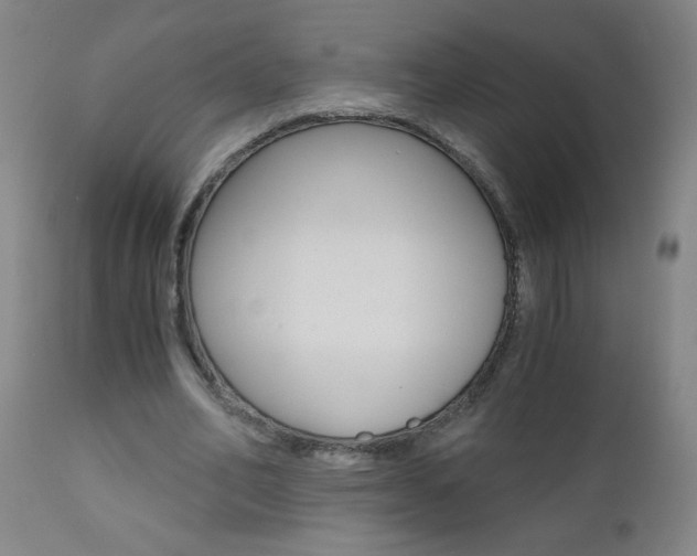 X0000110870582200906181012
