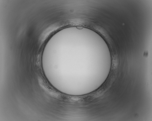 X0000110870583200906181012