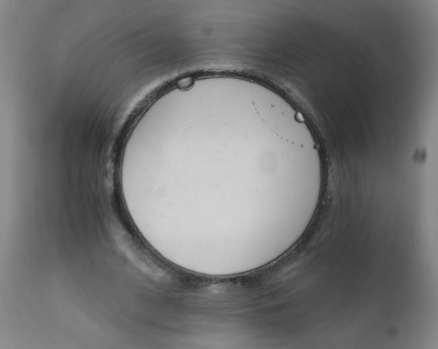 X0000110870584200906181012