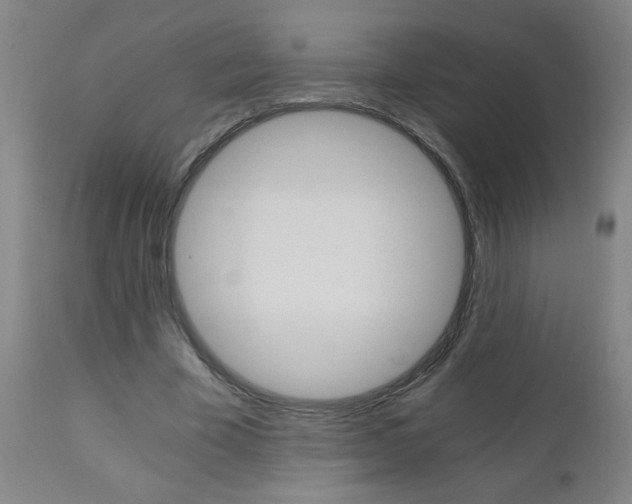 X0000110870585200906181012