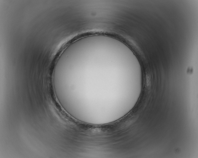 X0000110870588200906181012
