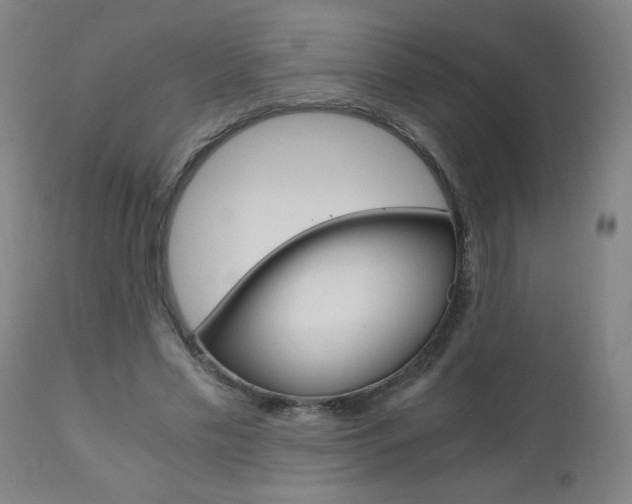 X0000110870589200906181012