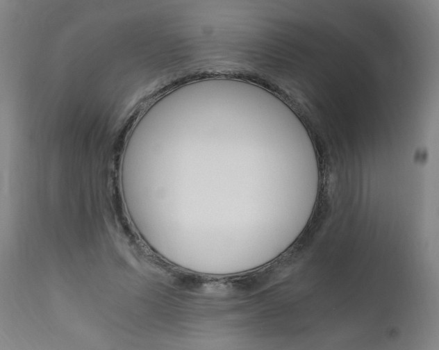 X0000110870591200906181012