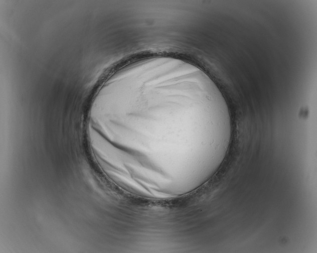 X0000110870592200906181012