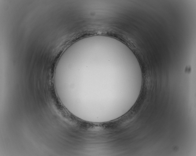 X0000110870594200906181012