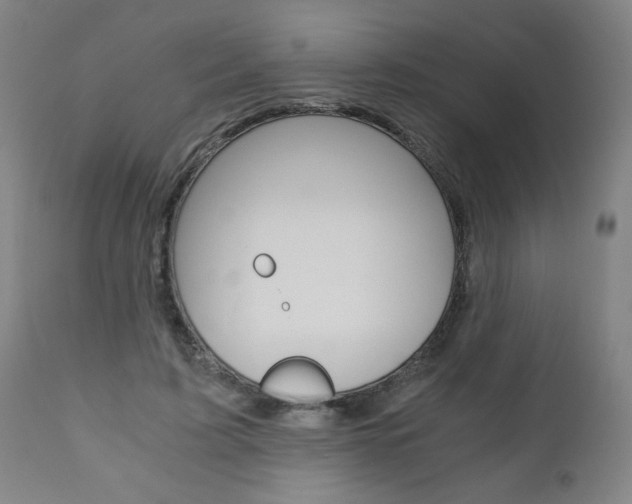 X0000110870595200906181012