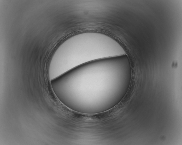 X0000110870597200906181012