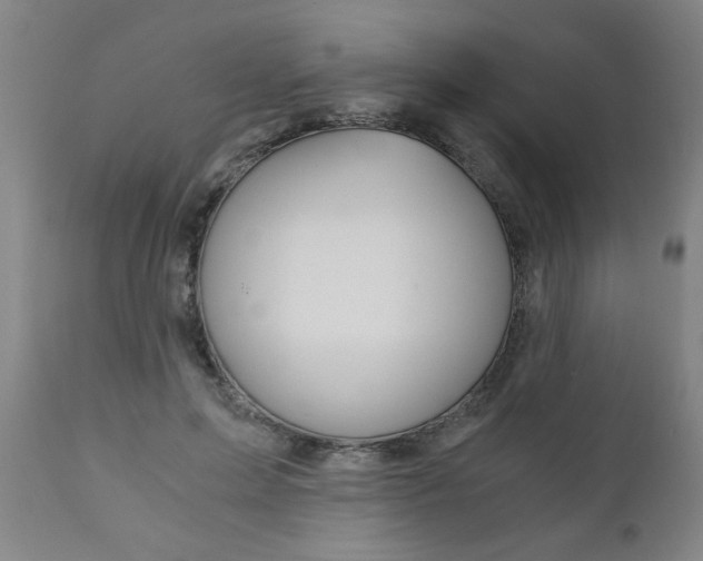 X0000110870599200906181012