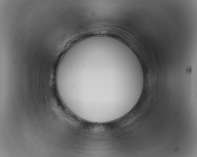 X0000110870600200906181012