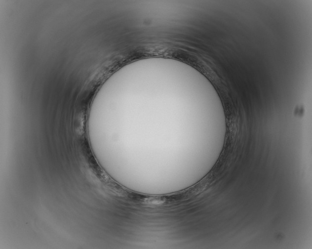 X0000110870602200906181012