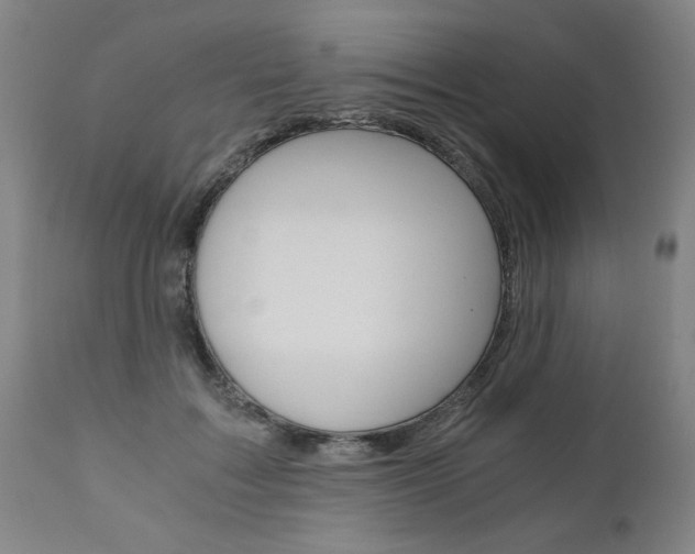 X0000110870603200906181012
