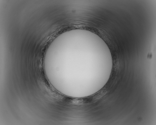 X0000110870606200906181012