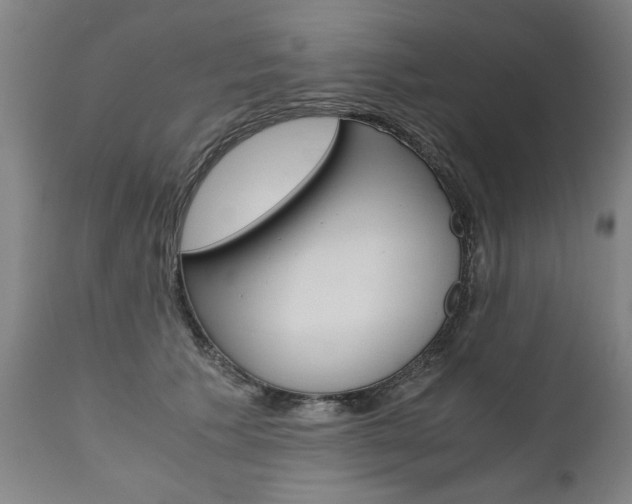 X0000110870609200906181011