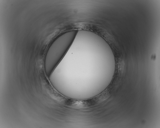 X0000110870611200906181011
