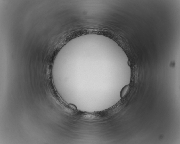X0000110870614200906181011