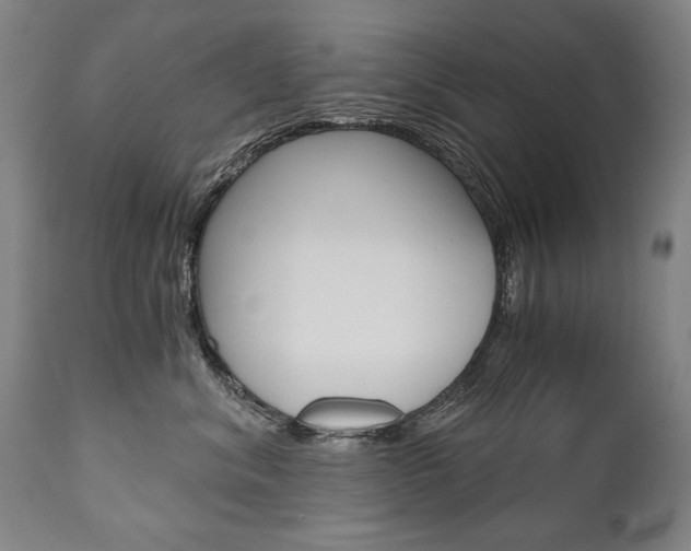 X0000110870620200906181011