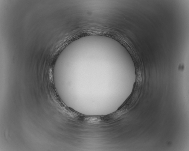 X0000110870621200906181011