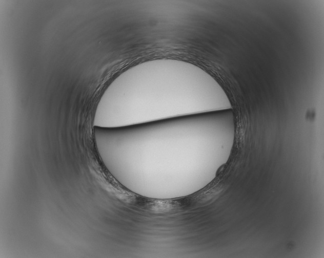 X0000110870623200906181011