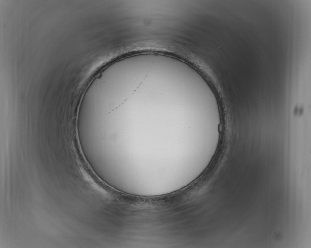 X0000110870625200906181010