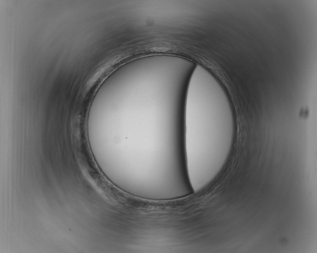 X0000110870626200906181010