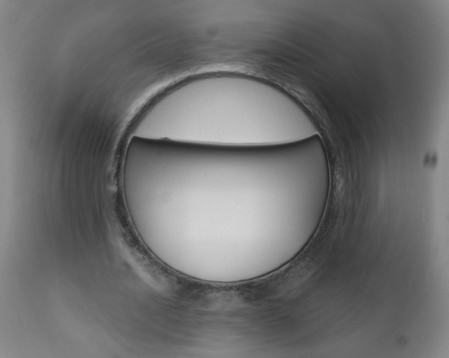 X0000110870628200906181010