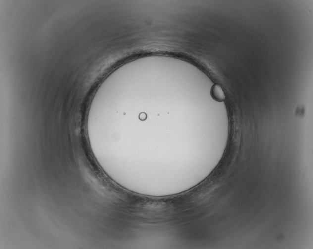 X0000110870631200906181010