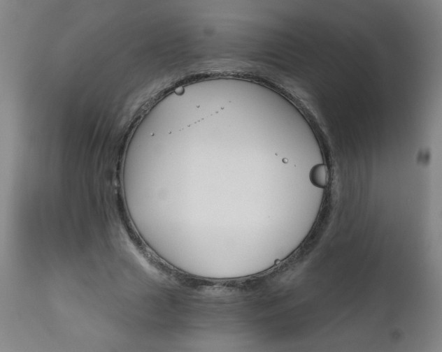 X0000110870633200906181010