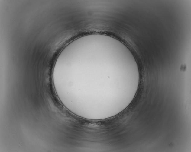 X0000110870635200906181010