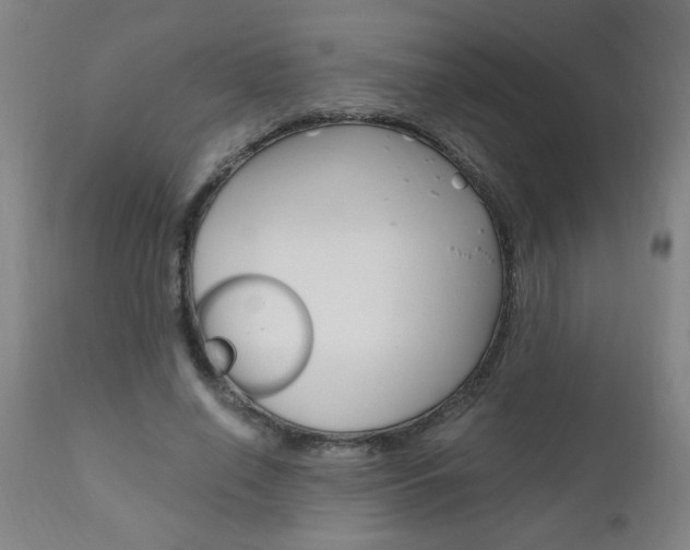 X0000110870638200906181010