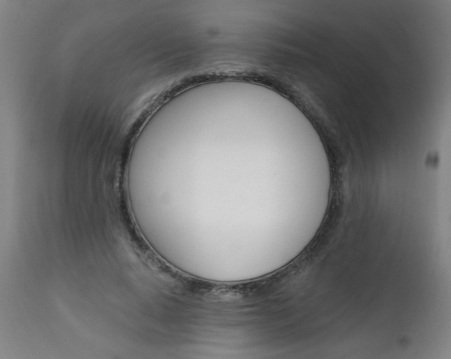 X0000110870640200906181010