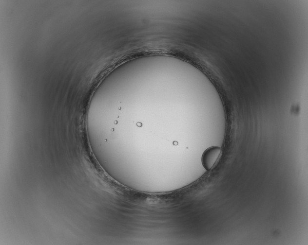 X0000110870641200906181010