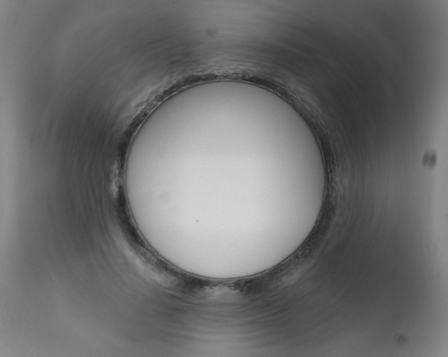 X0000110870644200906181010