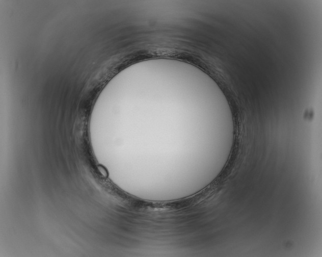 X0000110870645200906181010