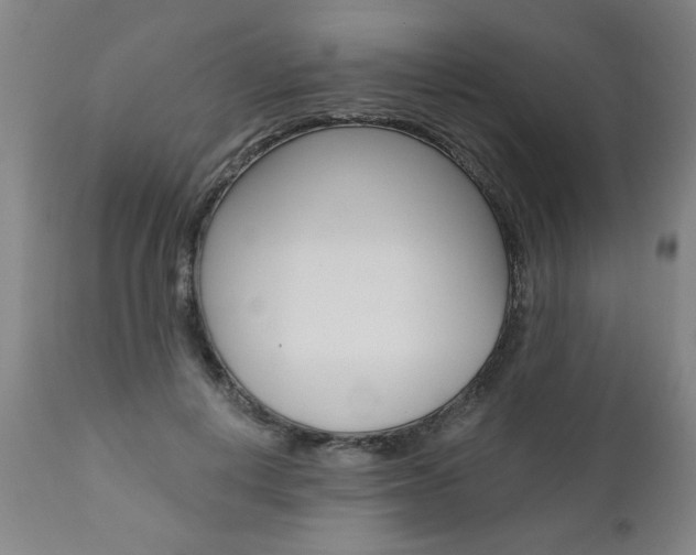 X0000110870648200906181010