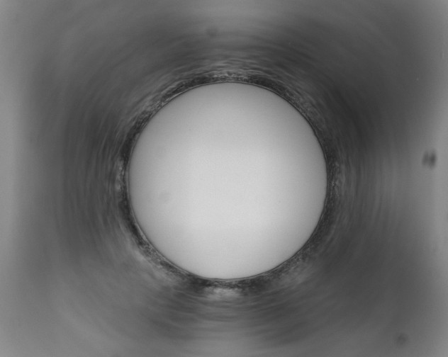 X0000110870649200906181011