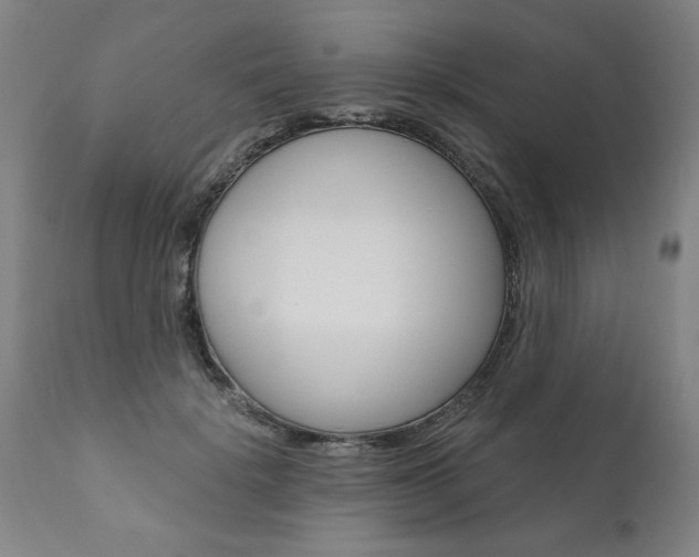 X0000110870652200906181011