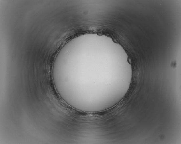 X0000110870656200906181011