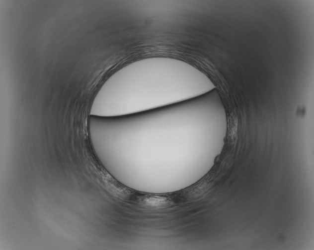 X0000110870669200906181011
