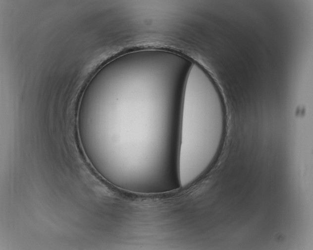 X0000110870673200906181010
