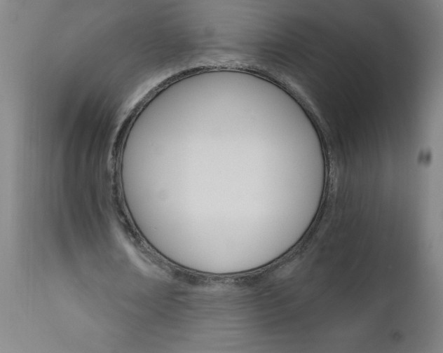 X0000110870674200906181010