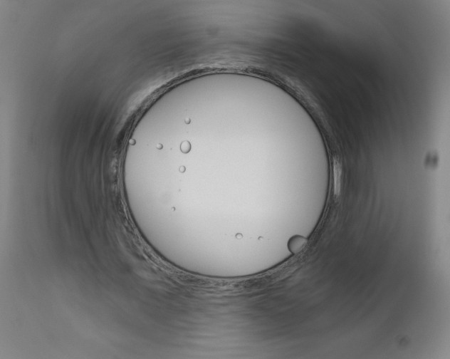 X0000110870675200906181010