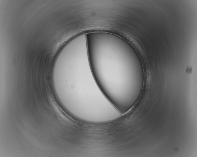 X0000110870677200906181010