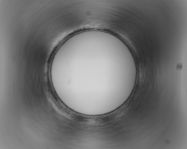 X0000110870678200906181010