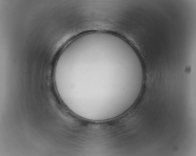X0000110870679200906181010