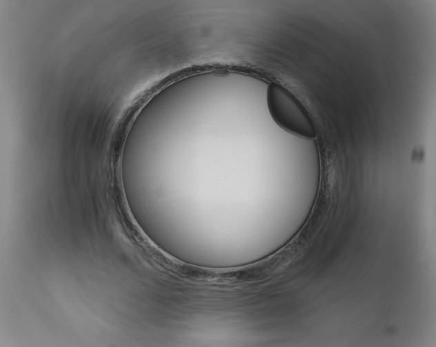 X0000110870680200906181010