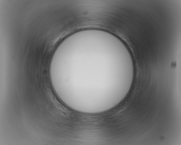 X0000110870681200906181010
