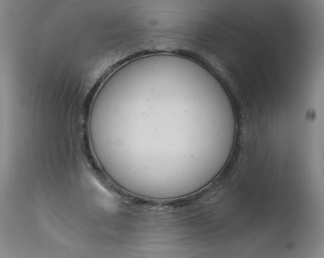 X0000110870683200906181010