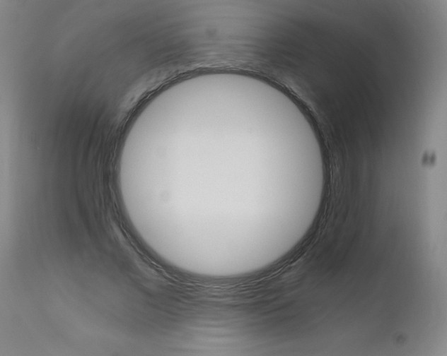X0000110870685200906181010