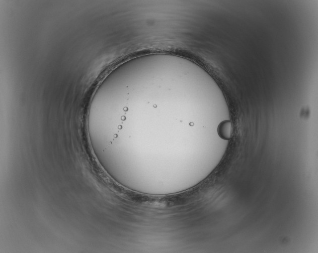 X0000110870687200906181010