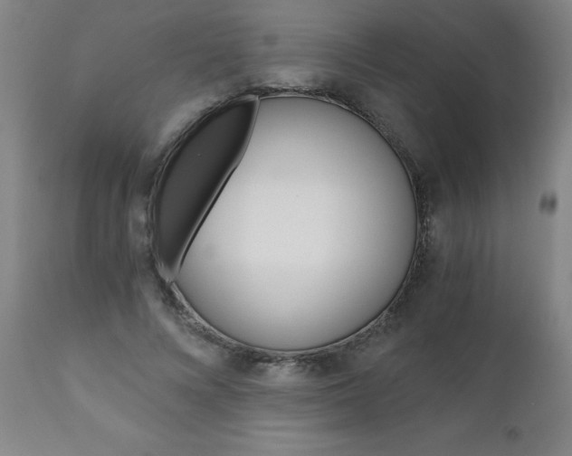 X0000110870688200906181010
